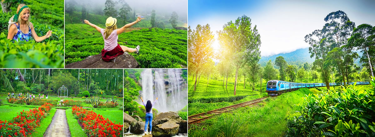nuwara-eliya-day-tour-from-hikkaduwa